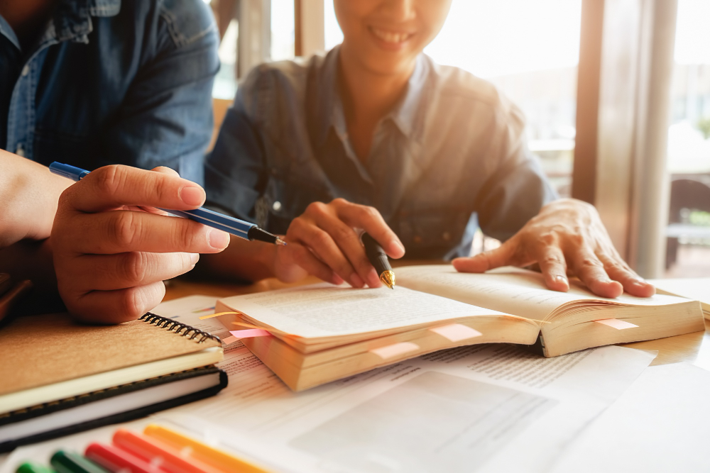 Master In Education Management Pioneer 